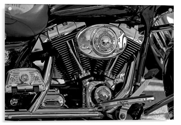 Harley Davidson Fat Boy Motorbike Acrylic by Derek Beattie