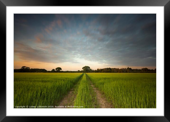 Outdoor field Framed Mounted Print by Lukasz Lukomski