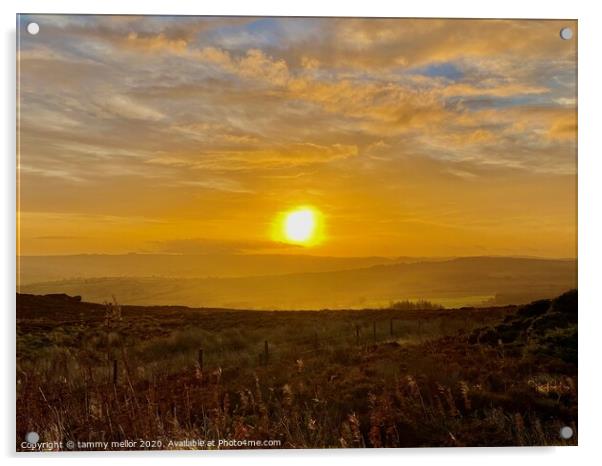 Majestic Sunrise over Staffordshire Moorlands Acrylic by tammy mellor