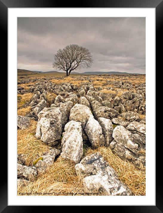 A Solitary Tree on Malham Moor Yorkshire Dales Framed Mounted Print by Nick Jenkins