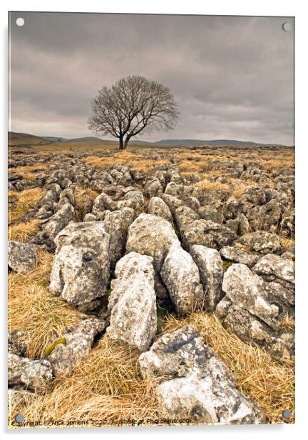 A Solitary Tree on Malham Moor Yorkshire Dales Acrylic by Nick Jenkins