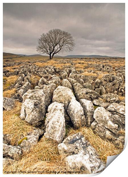 A Solitary Tree on Malham Moor Yorkshire Dales Print by Nick Jenkins