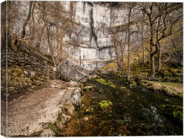 Malham Cove  beck Close Up in the Yorkshire Dales Canvas Print by Nick Jenkins