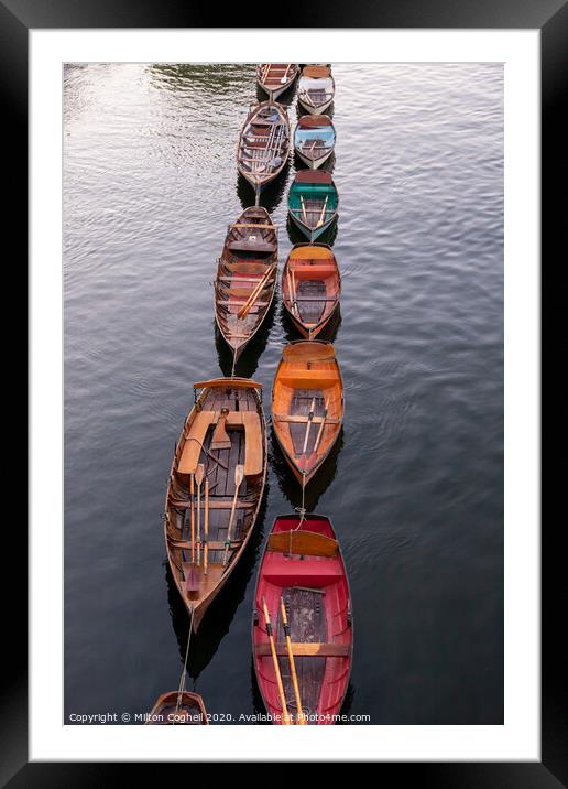 Rows of rows Framed Mounted Print by Milton Cogheil