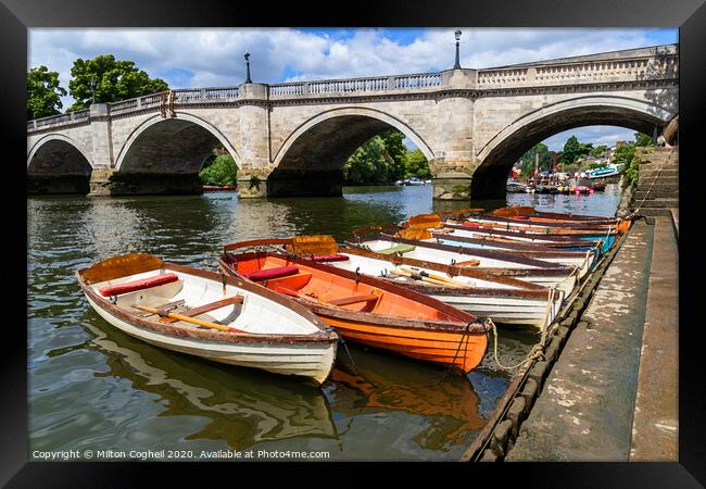 Richmond Bridge and wooden row boats on the River  Framed Print by Milton Cogheil