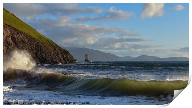 Kinard beach Print by barbara walsh