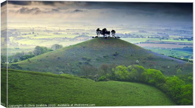 Colmer's Hill on a misty morning Canvas Print by Chris Drabble