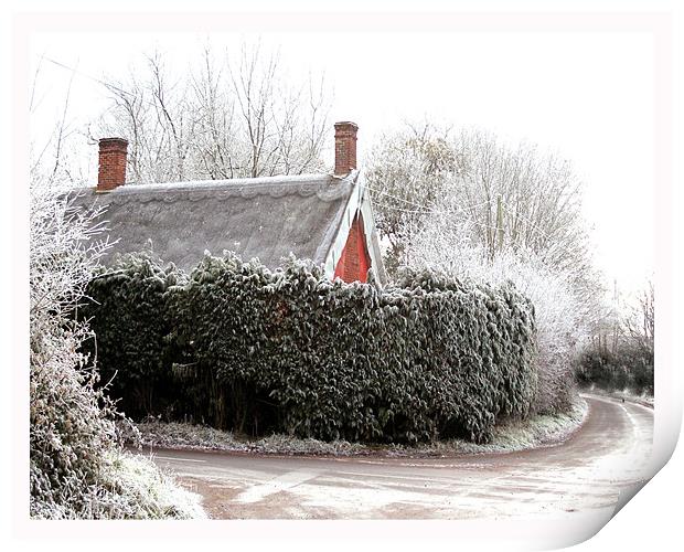 Thatched cottage after a heavy frost Print by Karen Steel