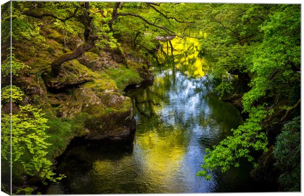 Colour reflected in the Afon Glaslyn, North Wales Canvas Print by Andrew Kearton