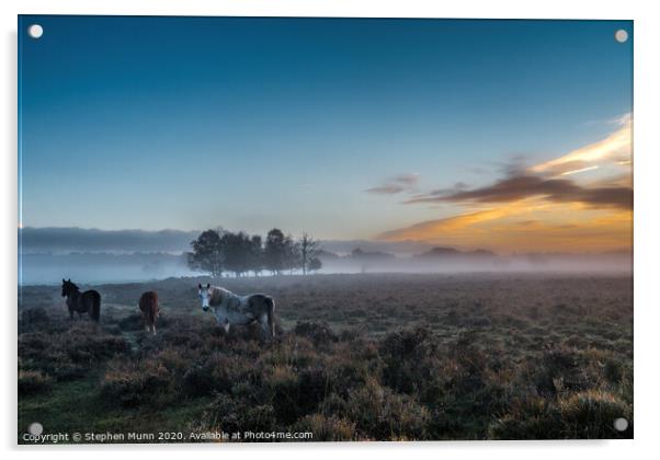 Horses at Dawn, New Forest National Park Acrylic by Stephen Munn