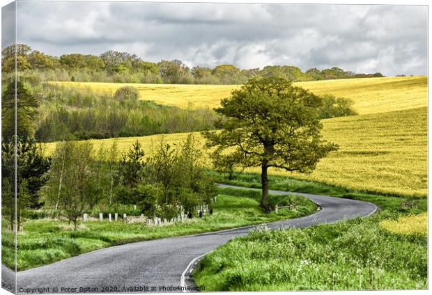Winding country road at The Hanningfields, Essex, UK Canvas Print by Peter Bolton