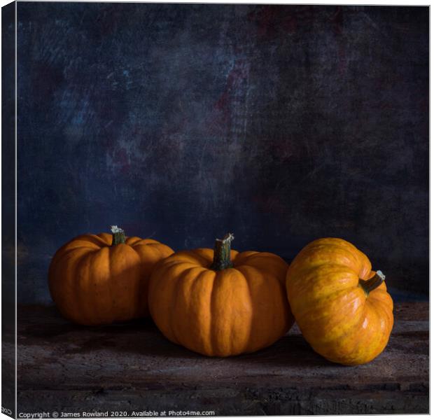 Pumpkin Still Life Canvas Print by James Rowland