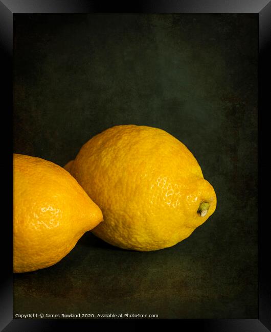 Lemon Kiss Framed Print by James Rowland