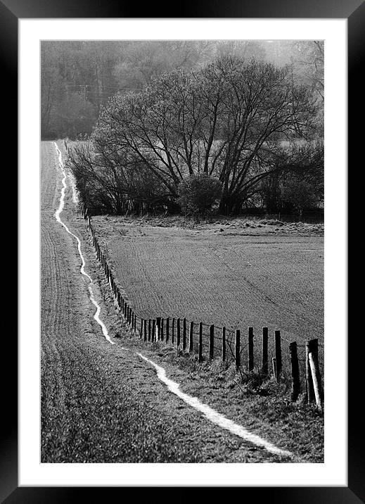 Footpath Framed Mounted Print by Tony Bates