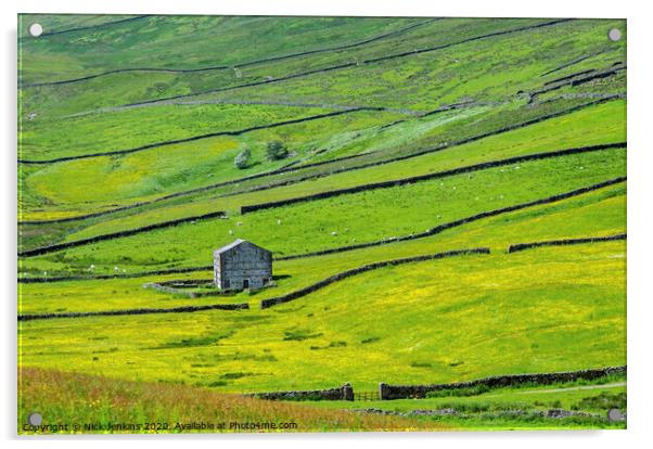 Dales barn near Gayle Wensleydale Yorkshire Dales Acrylic by Nick Jenkins