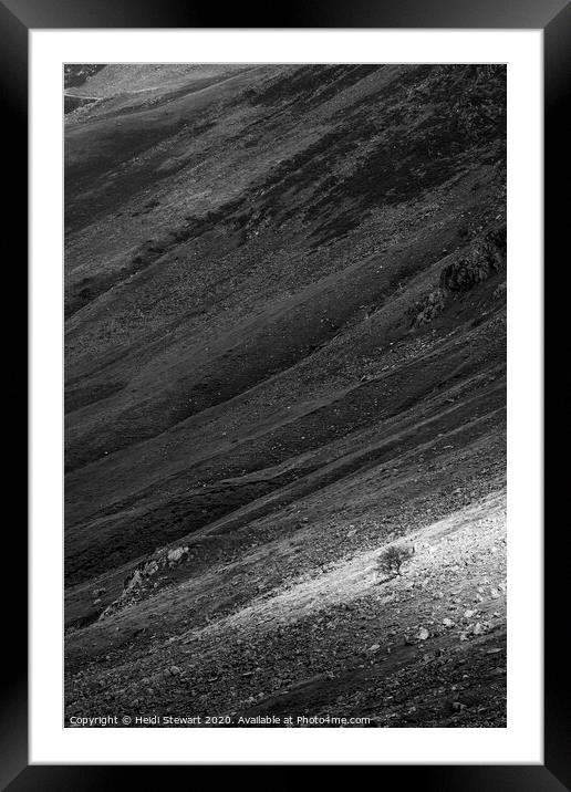 Light on the Hillside Framed Mounted Print by Heidi Stewart