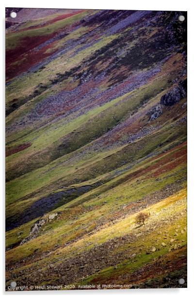 Honister Pass Hillside Acrylic by Heidi Stewart