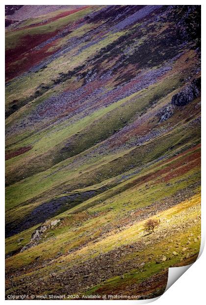 Honister Pass Hillside Print by Heidi Stewart