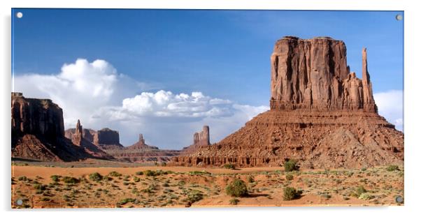 Monument Valley Navajo Tribal Park, Arizona Acrylic by Arterra 
