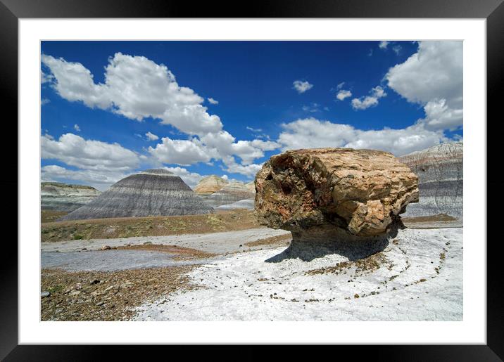 Painted Desert and Petrified Forest National Park, Arizona Framed Mounted Print by Arterra 