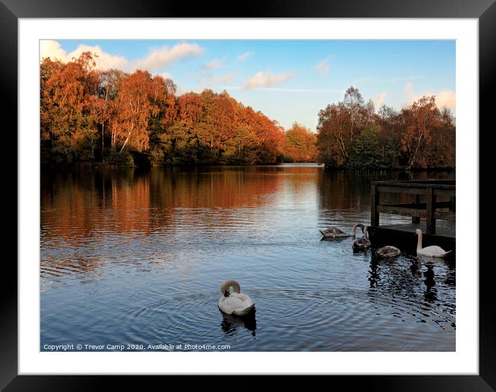 On Golden Pond - pic 2 Framed Mounted Print by Trevor Camp