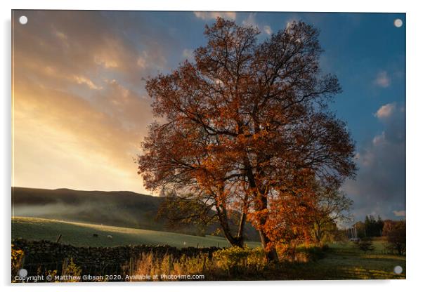 Stunning vibrant Autumn Fall landscape of countryside in Lake District with lovely golden light on trees and hills Acrylic by Matthew Gibson
