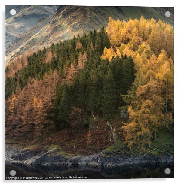 Beautiful landscape image of Autumn Fall with vibrant pine and larch trees against majestic setting of Hawes Water and High Stile peak in Lake District Acrylic by Matthew Gibson