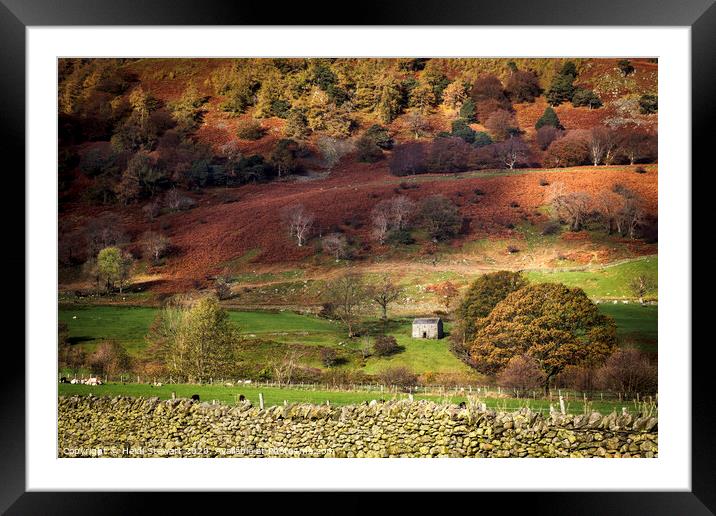 Old Barn in Autumn Time Framed Mounted Print by Heidi Stewart
