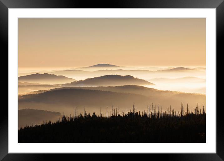 Bavarian Forest Covered in Mist, Germany Framed Mounted Print by Arterra 