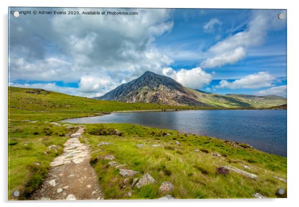 Pen yr Ole Wen Mountain Snowdonia Wales Acrylic by Adrian Evans