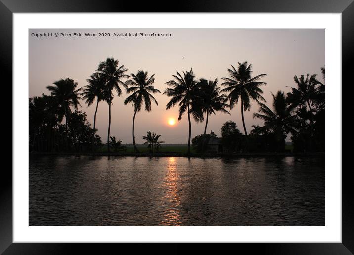 Kerala backwater  Framed Mounted Print by Peter Ekin-Wood
