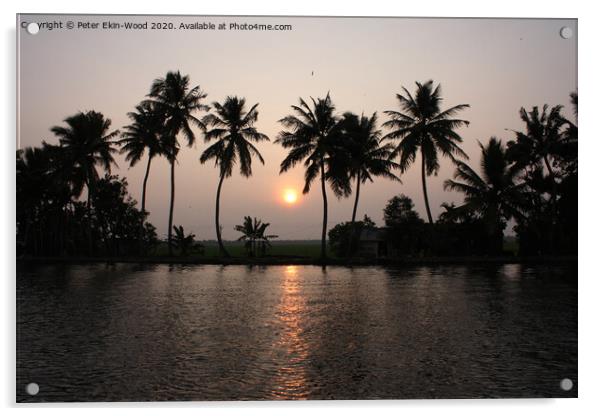Kerala backwater  Acrylic by Peter Ekin-Wood