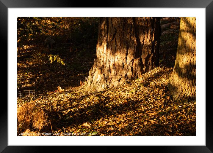 Autumn Morning Sunlight in Sherwood Forest Framed Mounted Print by Ken Hunter