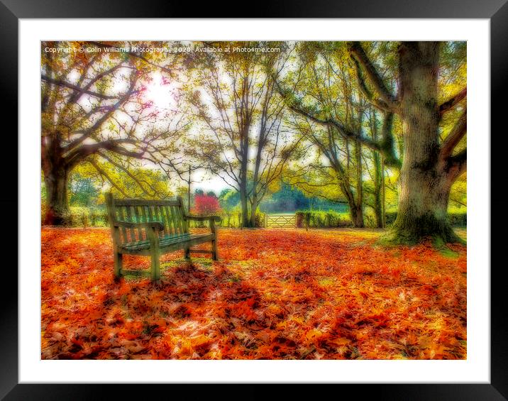 A Bench in The Surrey Hills. Framed Mounted Print by Colin Williams Photography