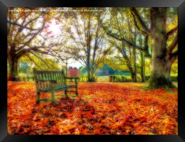 A Bench in The Surrey Hills. Framed Print by Colin Williams Photography