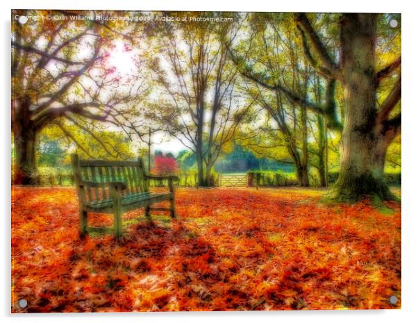 A Bench in The Surrey Hills. Acrylic by Colin Williams Photography