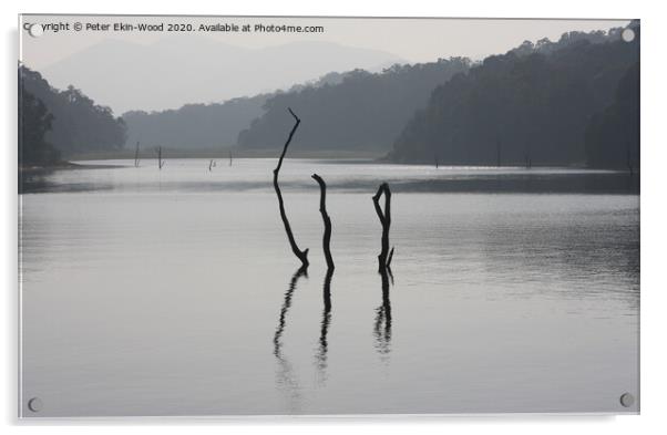 Indian reservoir Acrylic by Peter Ekin-Wood