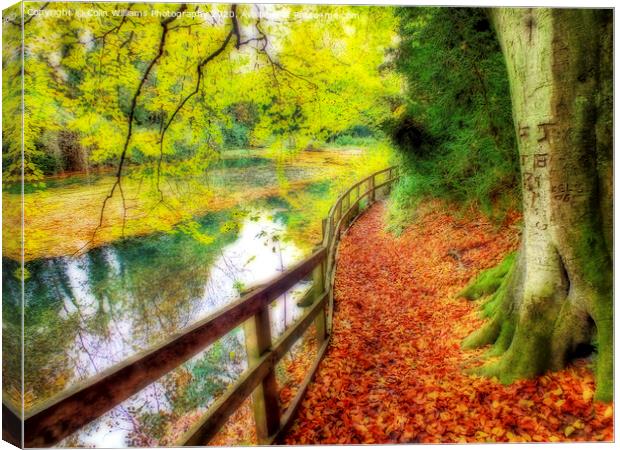 The Silent Pool with A carpet of autumn leaves Canvas Print by Colin Williams Photography