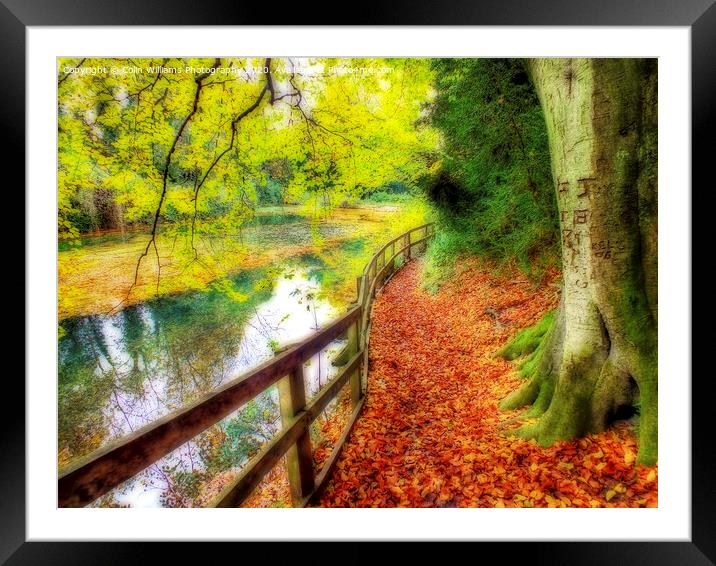 The Silent Pool with A carpet of autumn leaves Framed Mounted Print by Colin Williams Photography