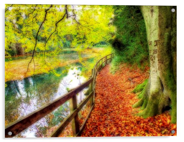 The Silent Pool with A carpet of autumn leaves Acrylic by Colin Williams Photography