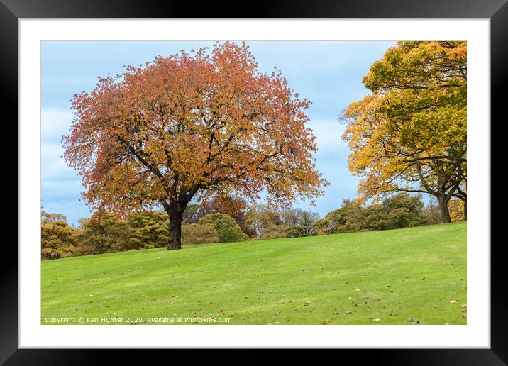 An Autumn Tree of Destinction Framed Mounted Print by Ken Hunter