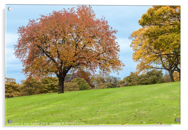 An Autumn Tree of Destinction Acrylic by Ken Hunter