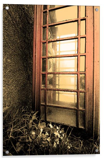 Red phone Box on Primrose Hill Acrylic by pauline morris