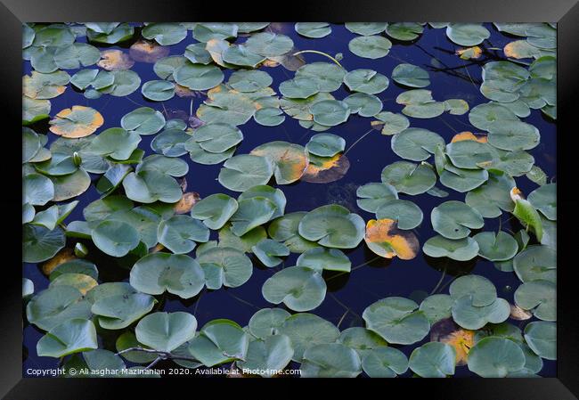 Abstract texture Framed Print by Ali asghar Mazinanian