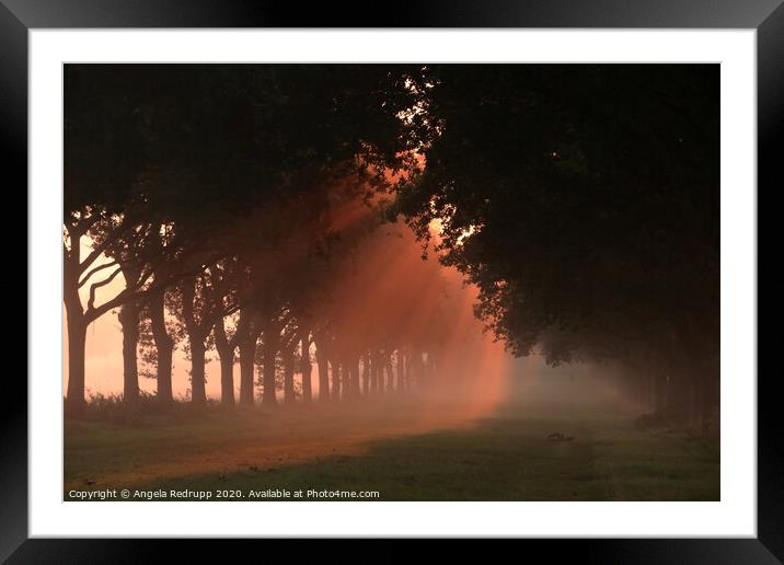 Rays of light though the mist Framed Mounted Print by Angela Redrupp