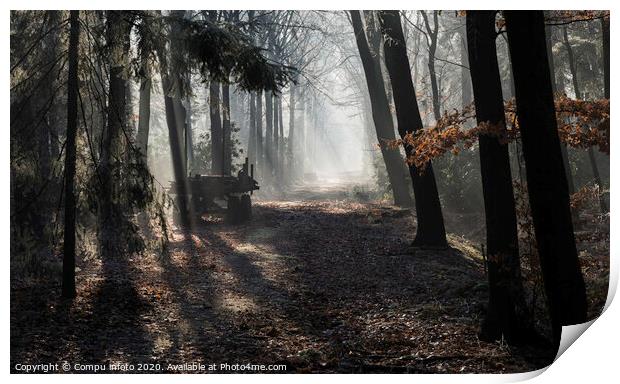 car in forest with sunbeams in winter landscape Print by Chris Willemsen
