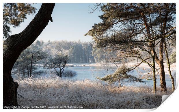 winter landscape with trees and water Print by Chris Willemsen