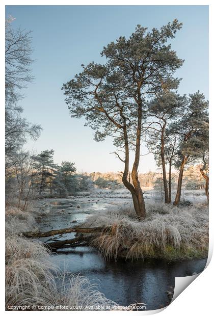 winter landscape with trees and water Print by Chris Willemsen