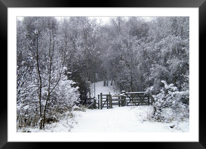 Snowy Gate in Fairburn, North Yorkshire Framed Mounted Print by Phil Clarkson