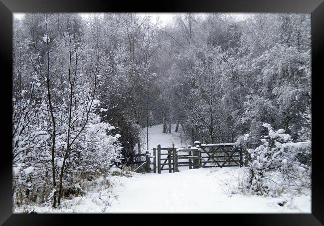 Snowy Gate in Fairburn, North Yorkshire Framed Print by Phil Clarkson